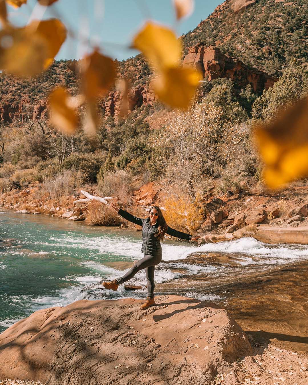 Zion national park brittwilliams.com