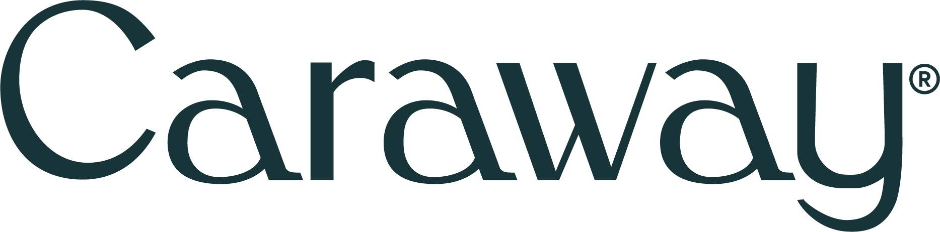 Caraway_Logo_Navy_011421